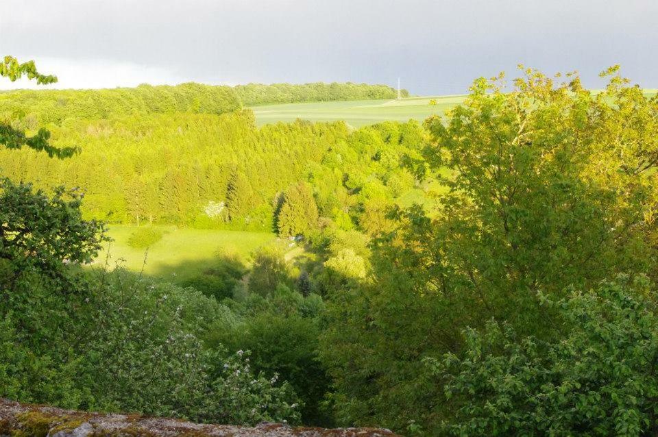 B&B Chez Fouchs - Chambre D'Hotes Dun-sur-Meuse Exteriér fotografie